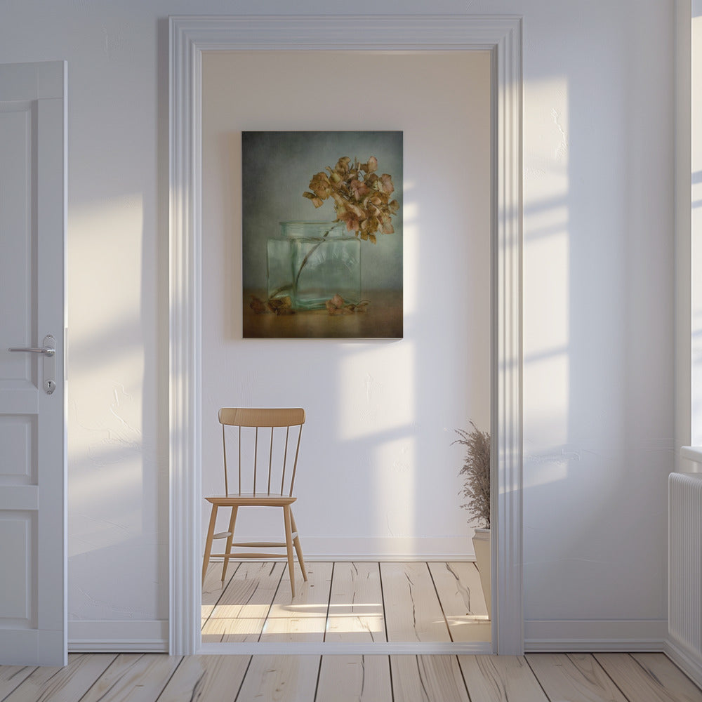 Hortensia | Lærredsbilleder