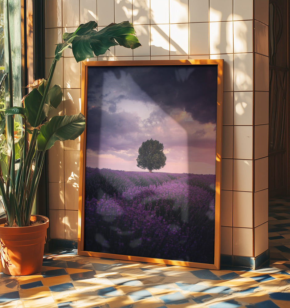 Lavender Fields, Isparta | Poster