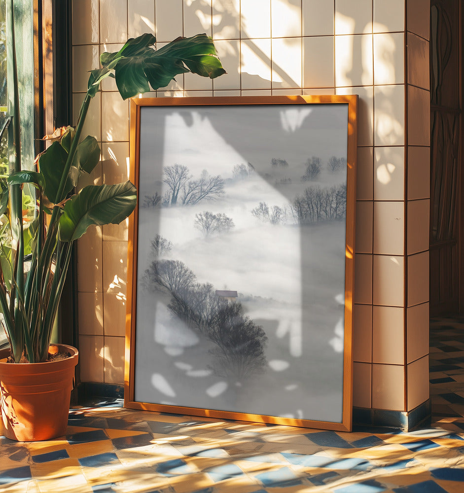 Trees in the fog | Poster