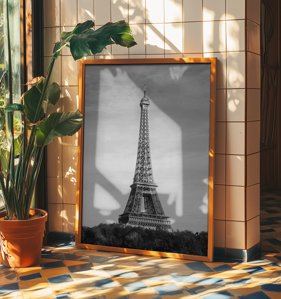 Eiffel Tower - Tour Eiffel | Poster
