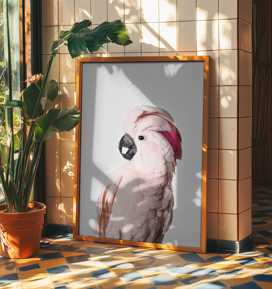 Pink Cockatoo | Poster
