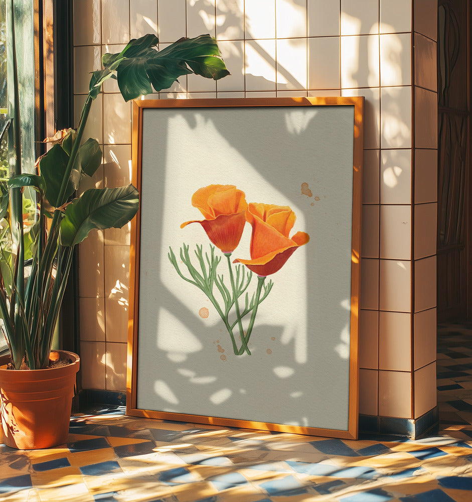 California Poppy | Poster