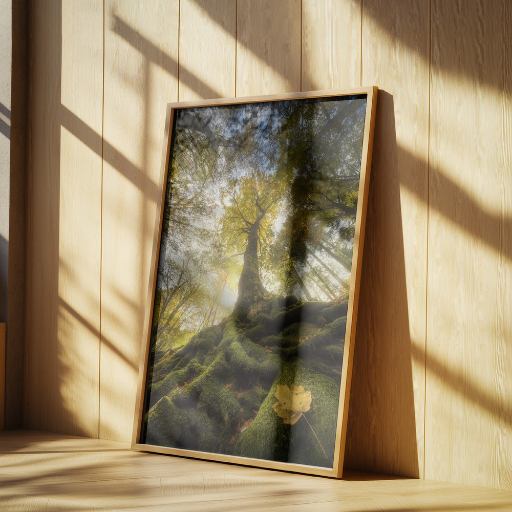 The goodbye of a leaf | Poster