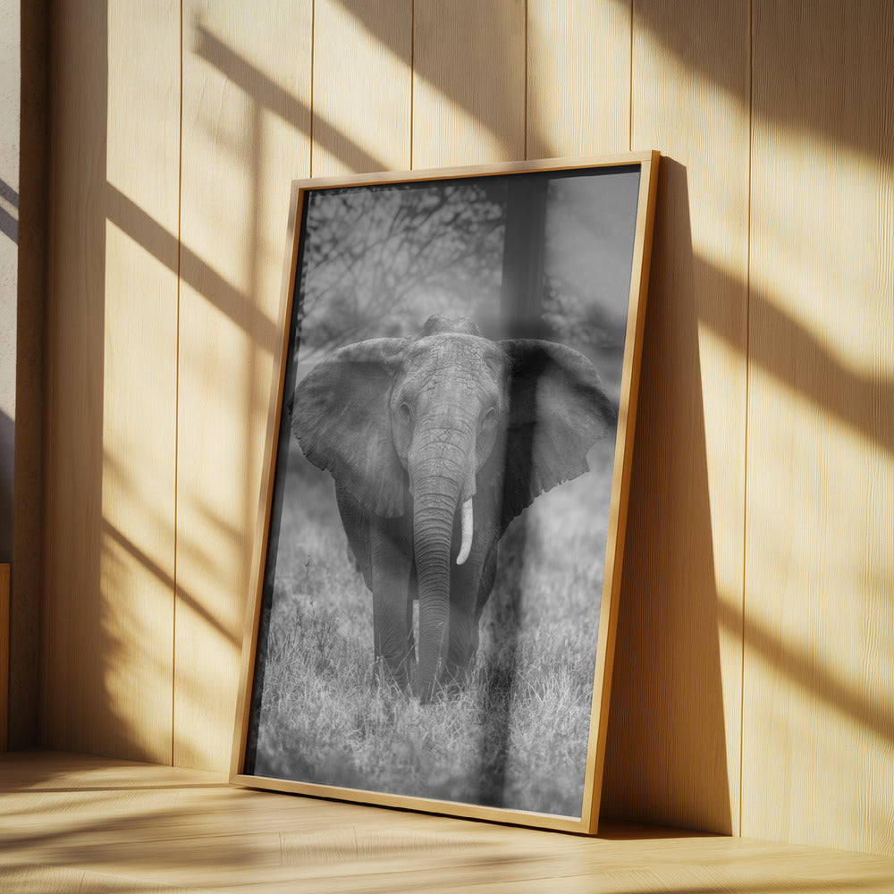 SINGULARITY | Poster