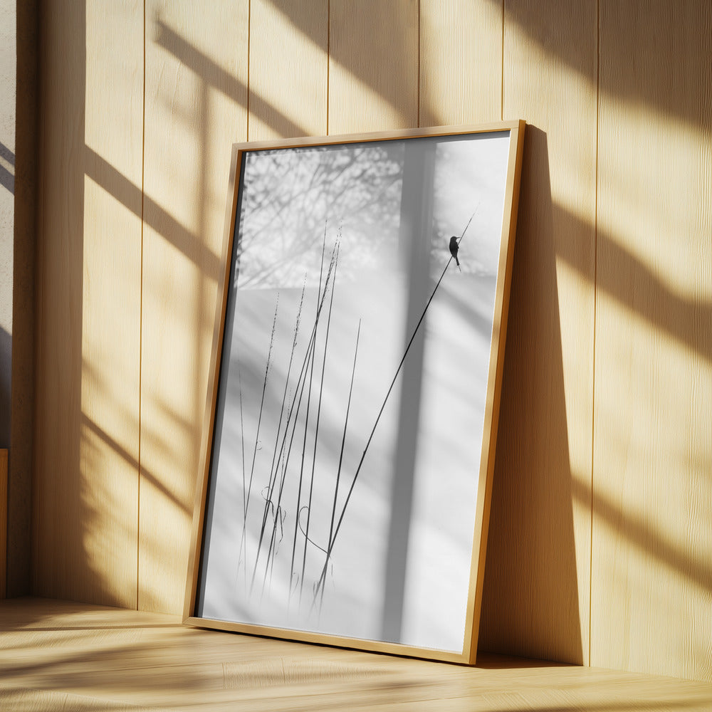 a sabbatical | Poster
