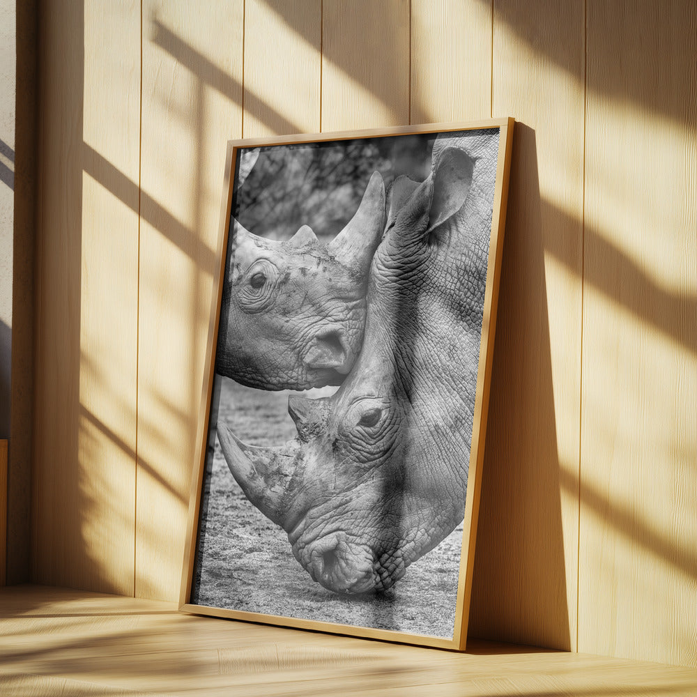 Face to face | Poster