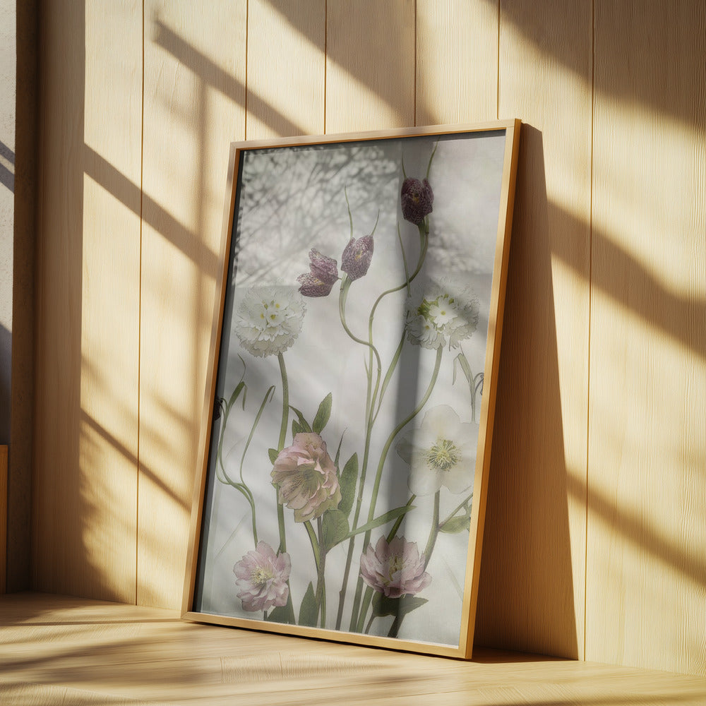Spring Garden | Poster