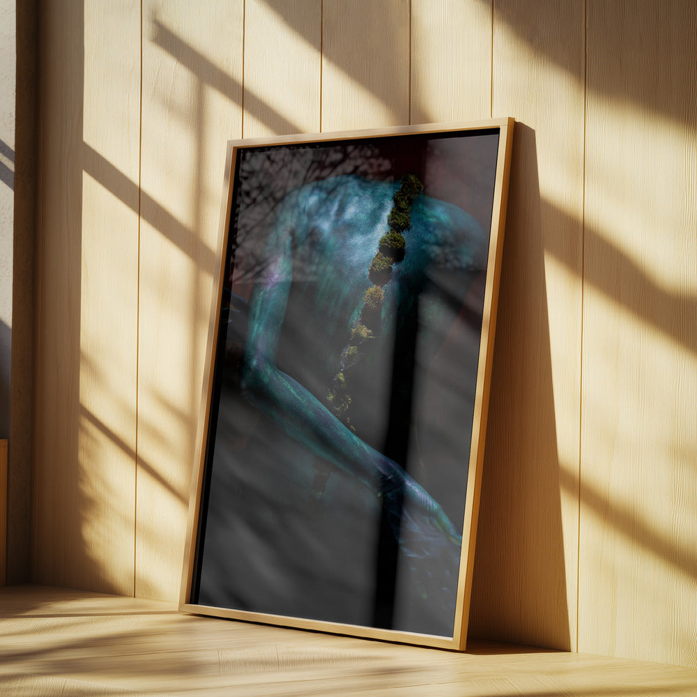 Symbiosis II | Poster
