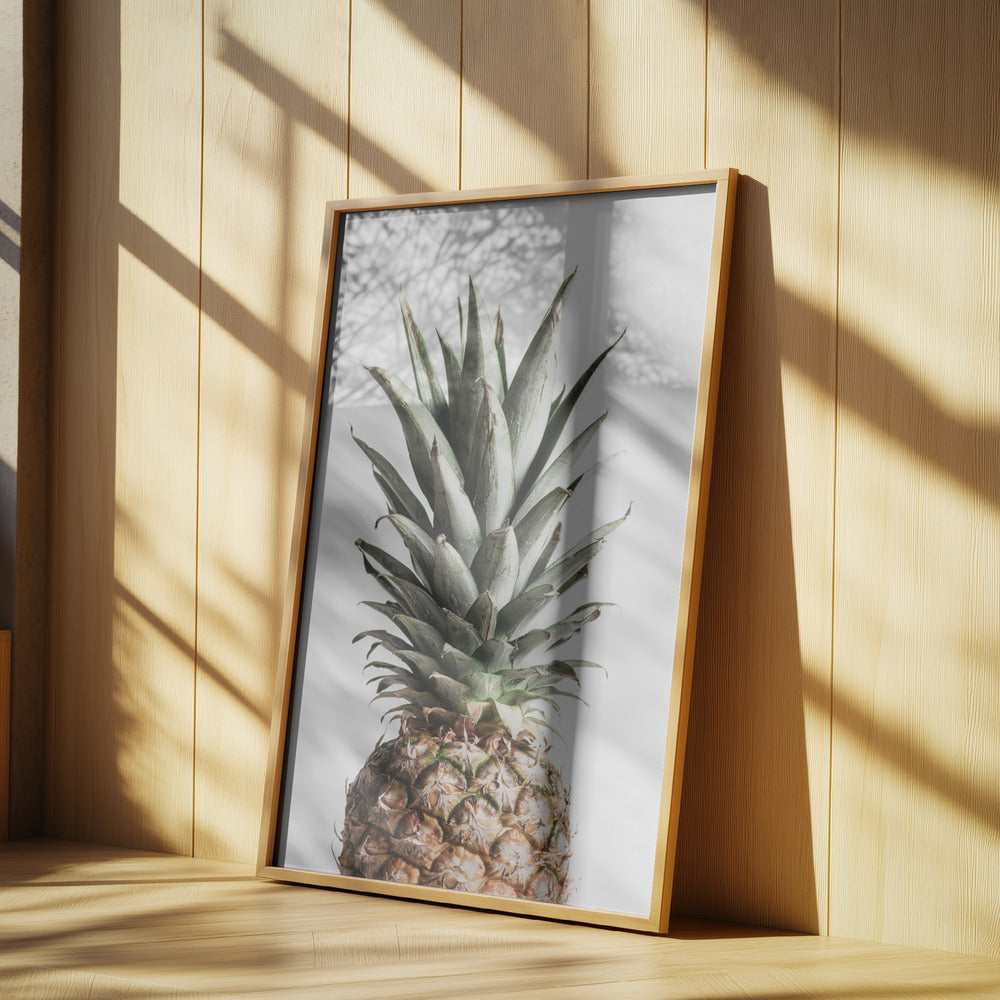 Ananas Naturalny | Plakaty - Wydruki Artystyczne