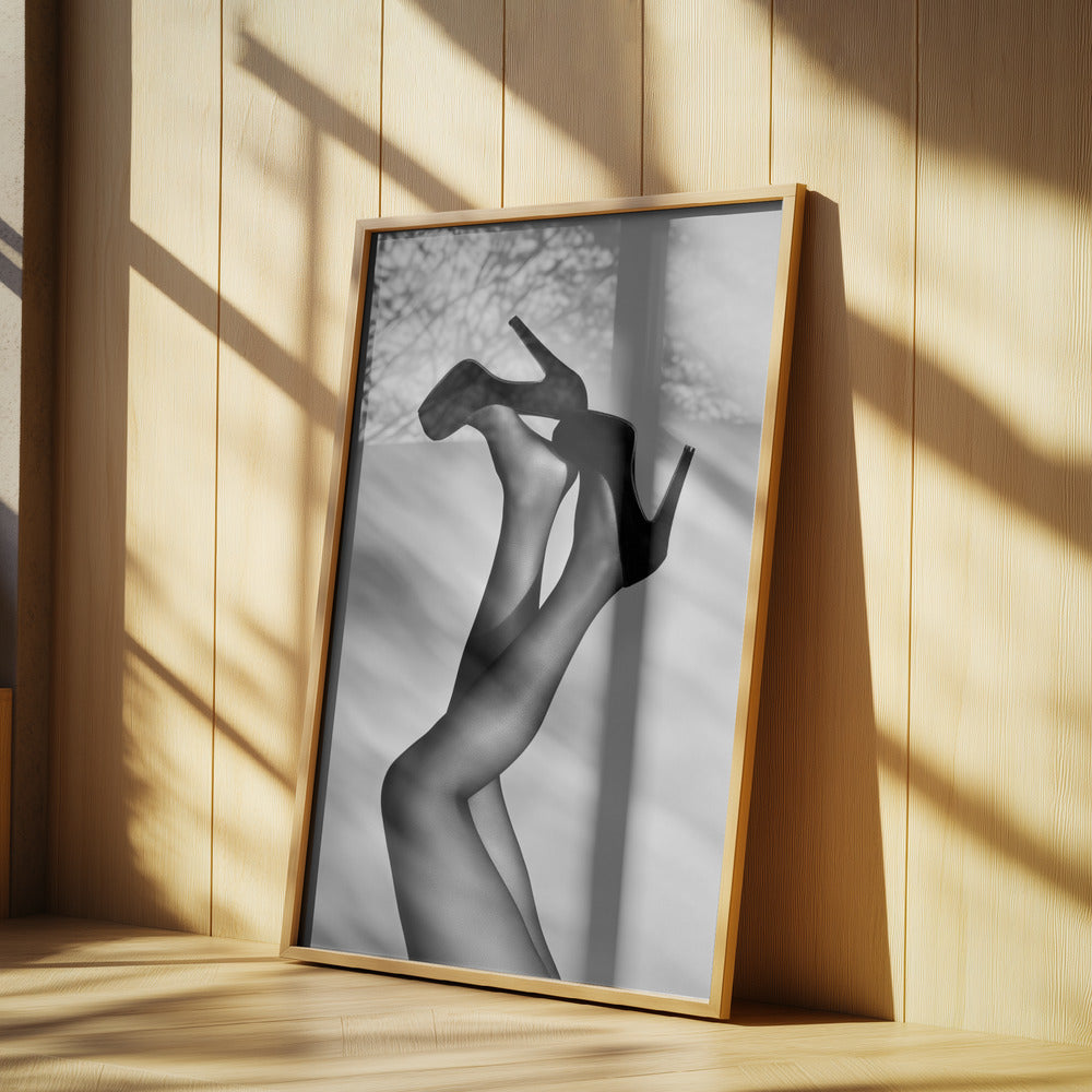 Velvet Pumps | Poster