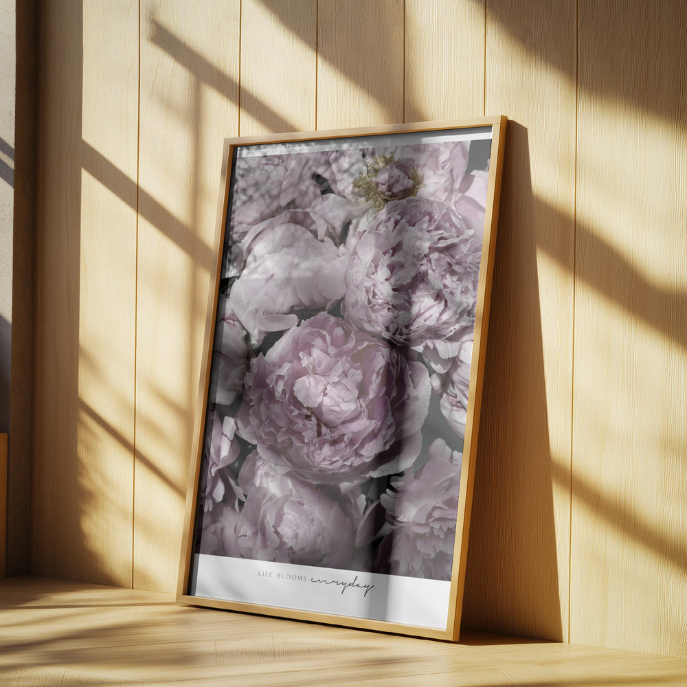 Life blooms everyday peonies | Poster
