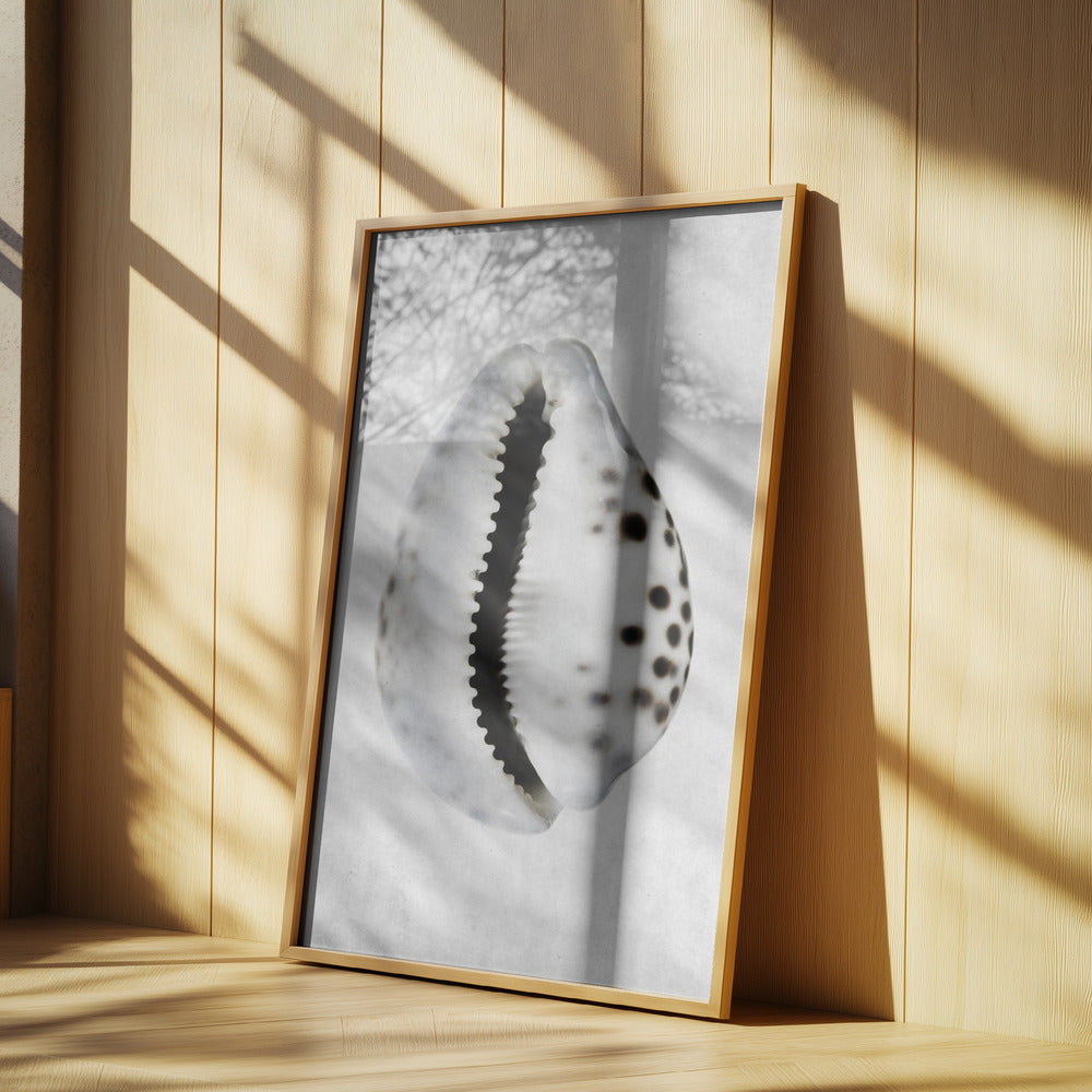 Spring Tide | Poster