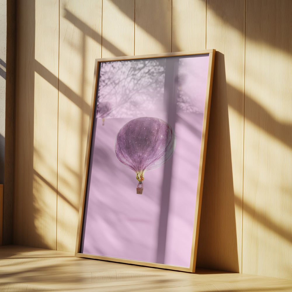 Feigenballons | Poster - Kunstdruck