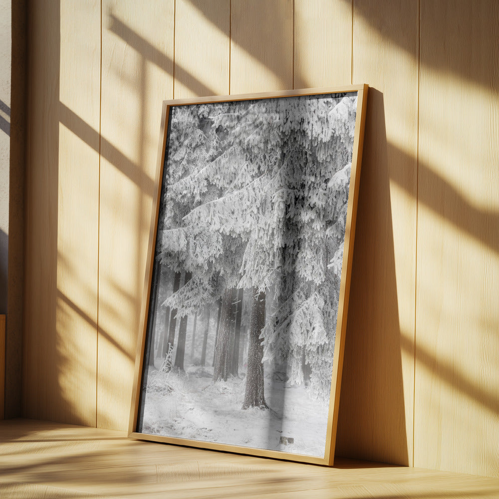 Winter Forest 2 | Poster