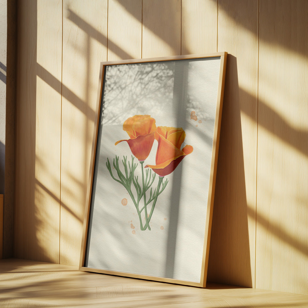 California Poppy | Poster