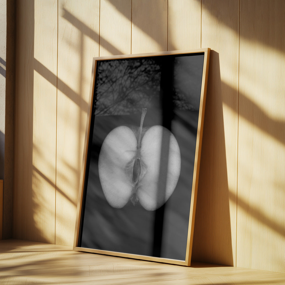 Monokrom kärna | Poster
