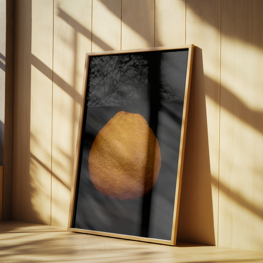 Goldene Kugel | Poster
