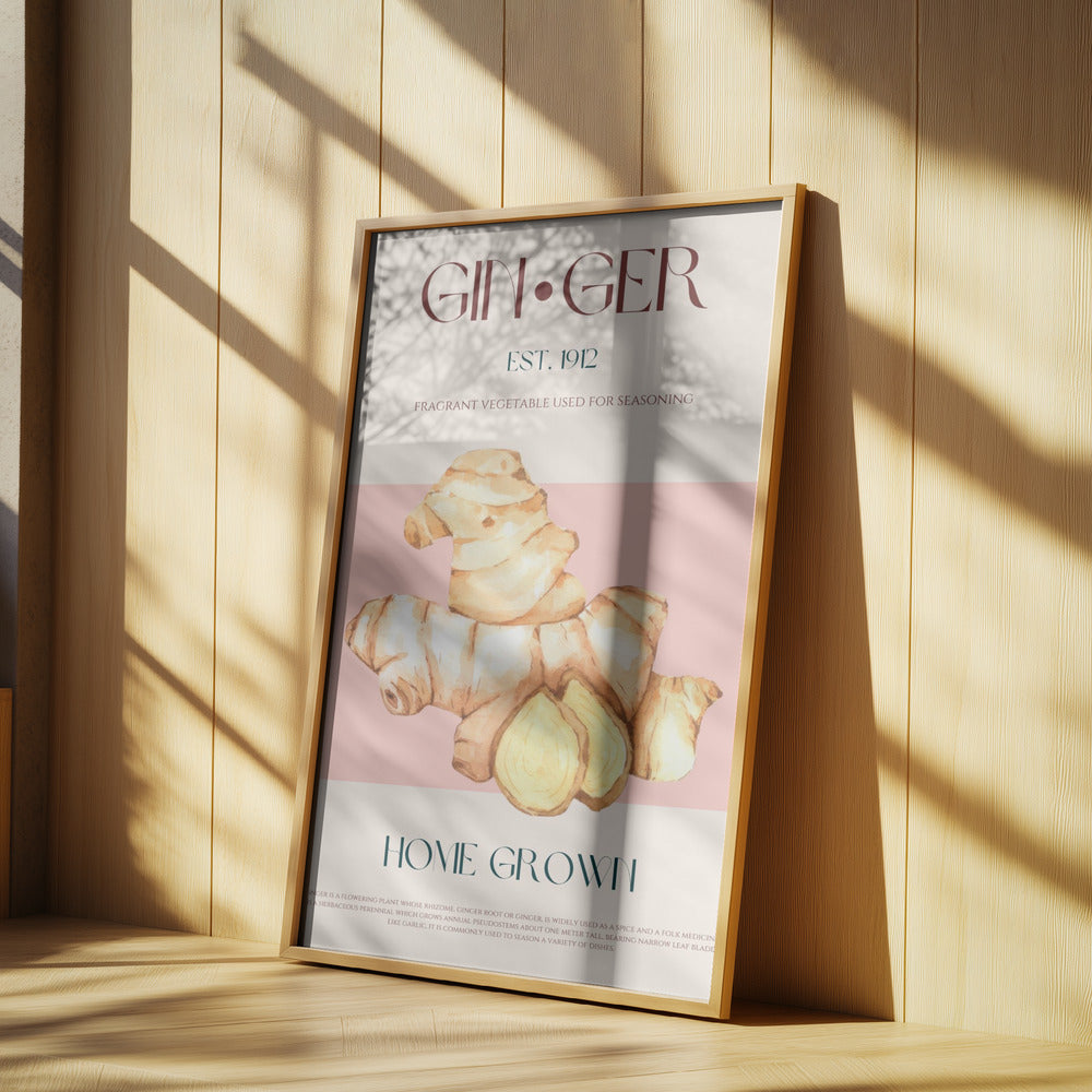 Aquarellillustration von Ingwer | Poster