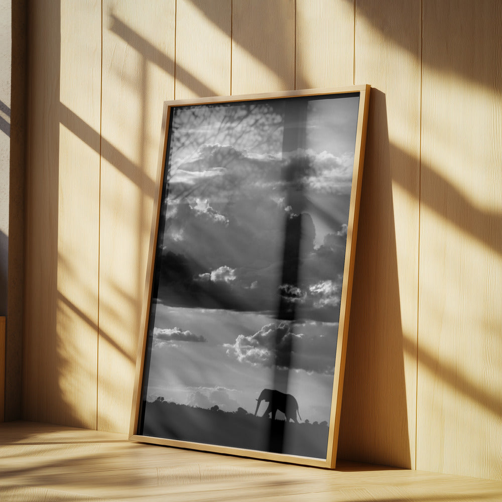 He walks under an African Sky | Poster