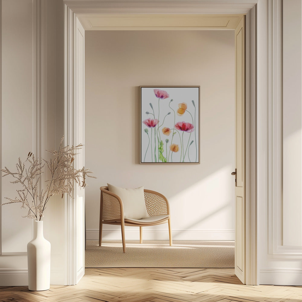Poppies | Poster