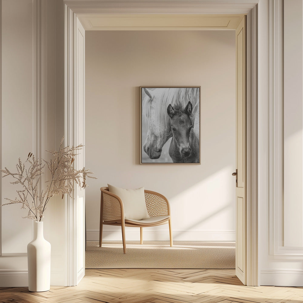 The Foal | Poster