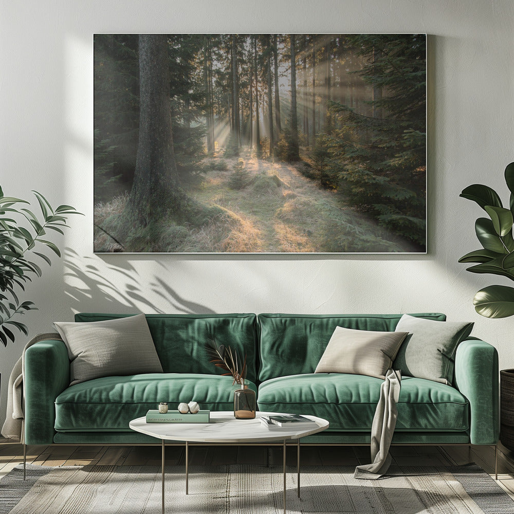 Rays, part 2 | Canvas
