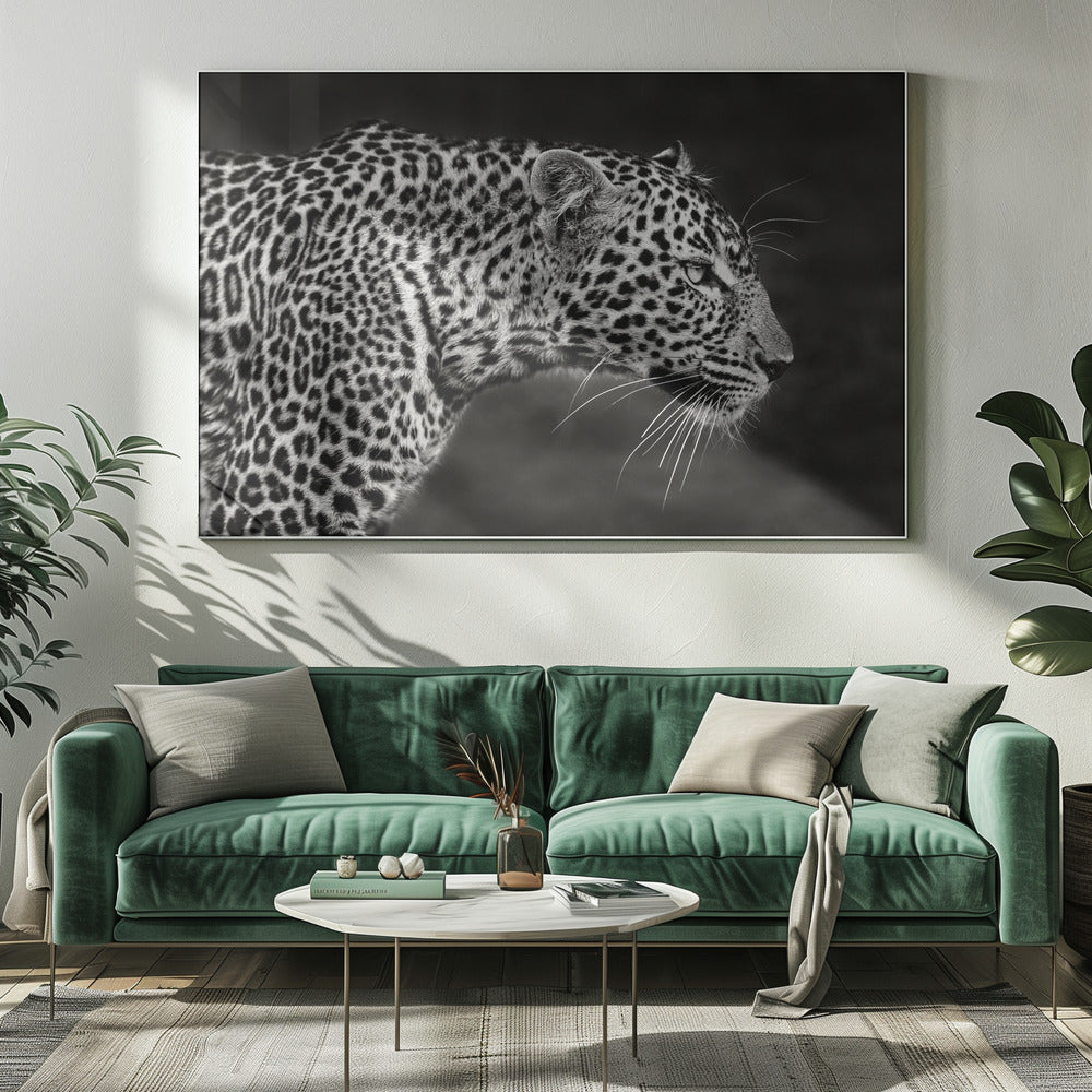 Leopard nærbillede | Lærredsbilleder