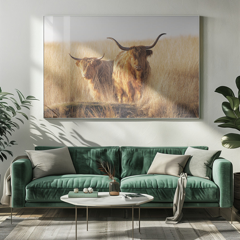 Young and old Highlander | Canvas