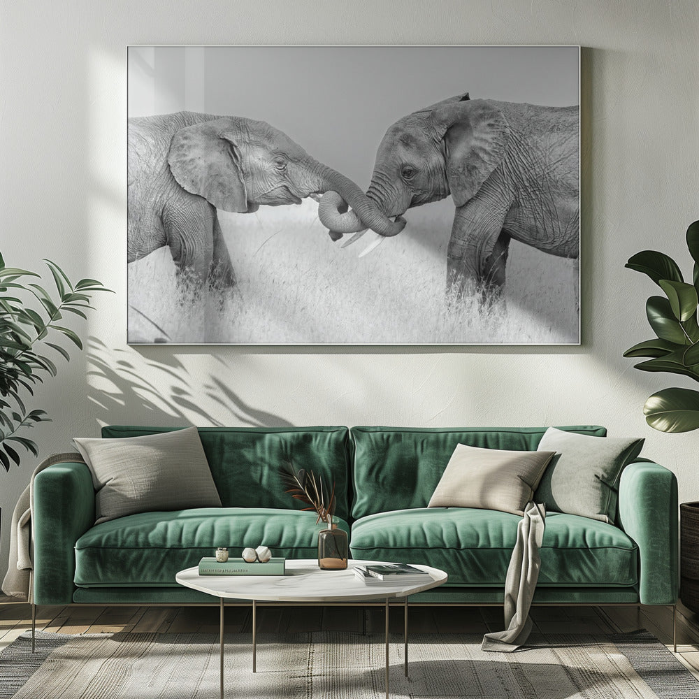 Confrontatie | Canvasprints