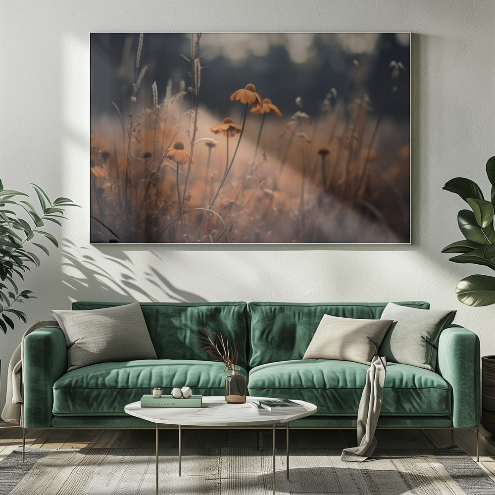 Oransje margaritaer | Lerretsbilder