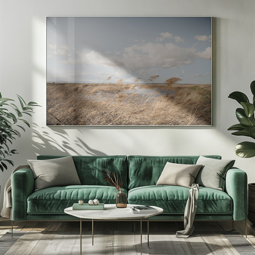 Marshland No.6 | Canvas