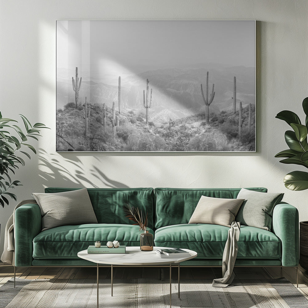 Western Cactus | Canvas