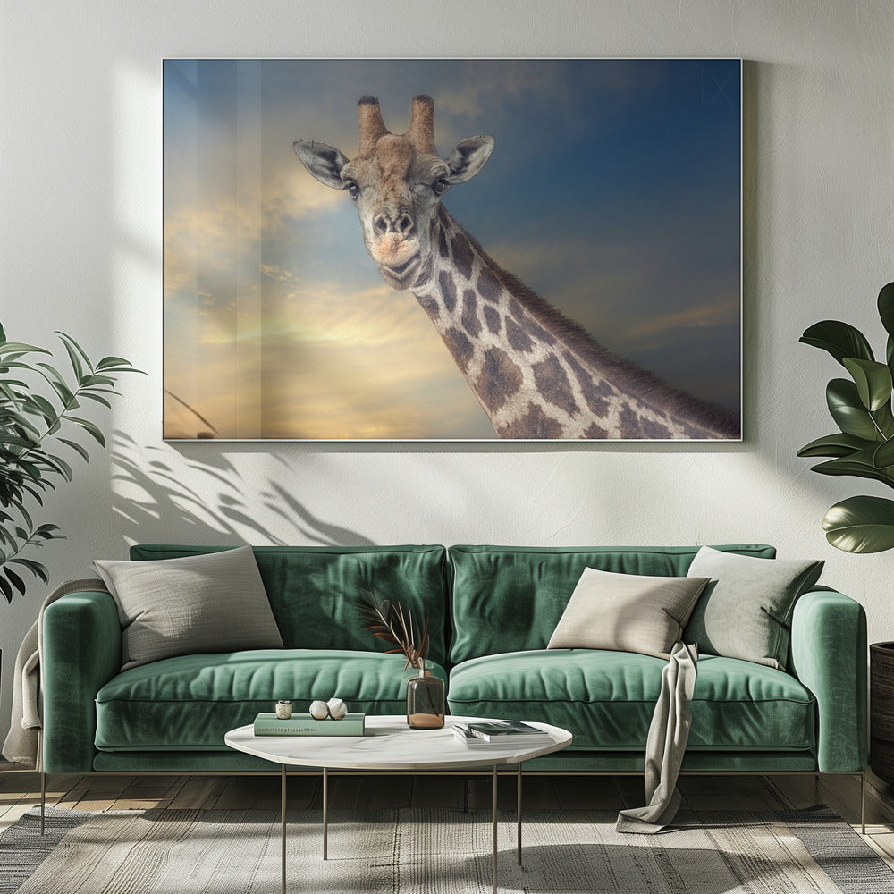 der freundliche Riese | Leinwand-Bilder