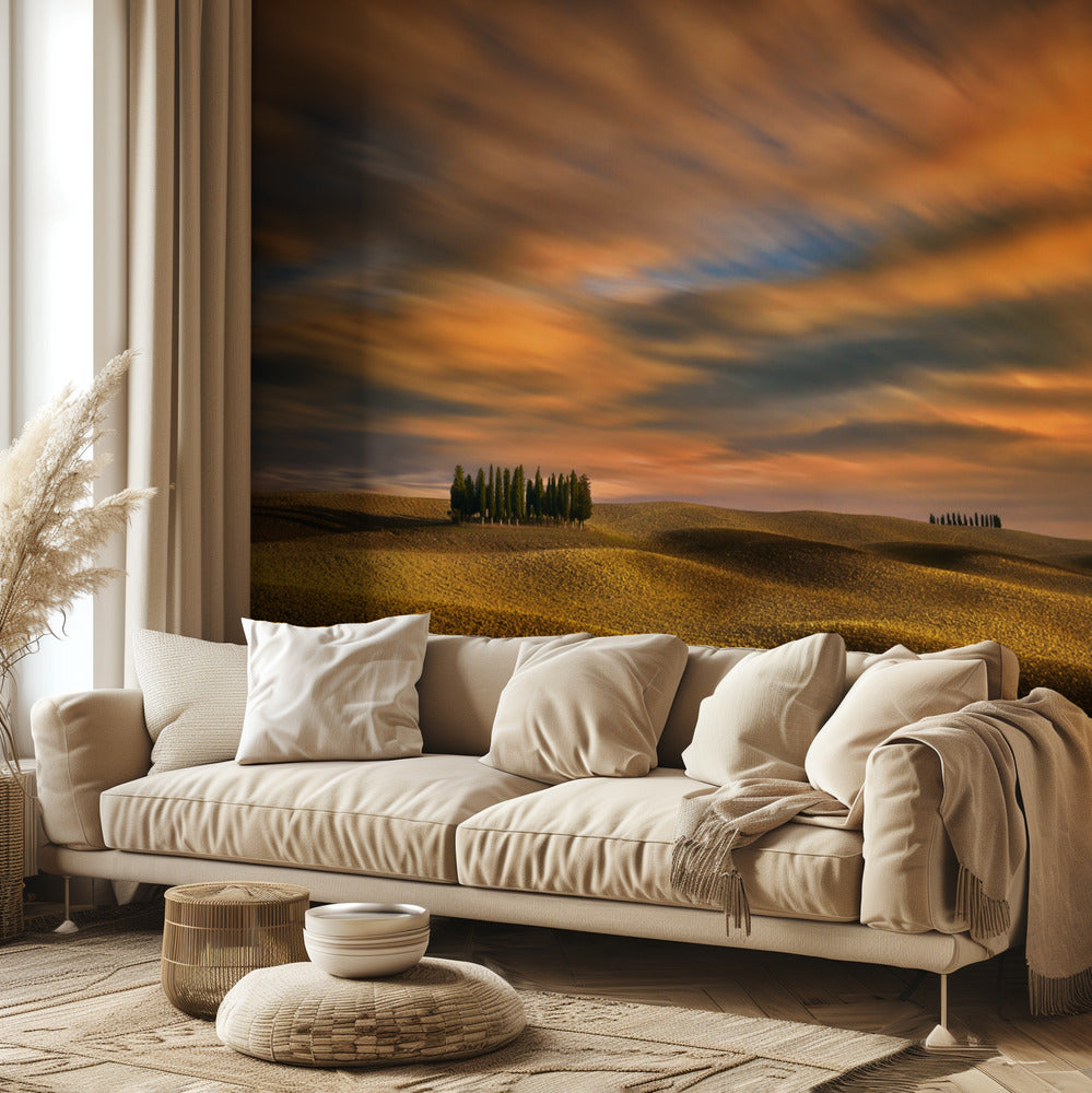 Cypresses... | Wallpaper