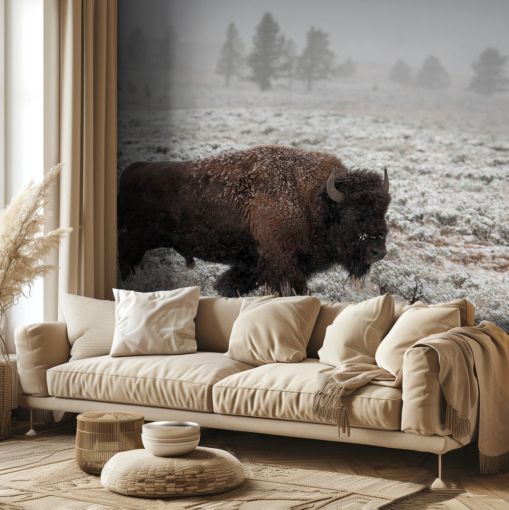 Late Fall Yellowstone | Wallpaper