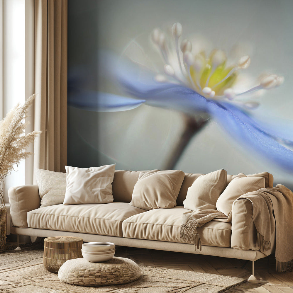 Dancing anemones | Wallpaper