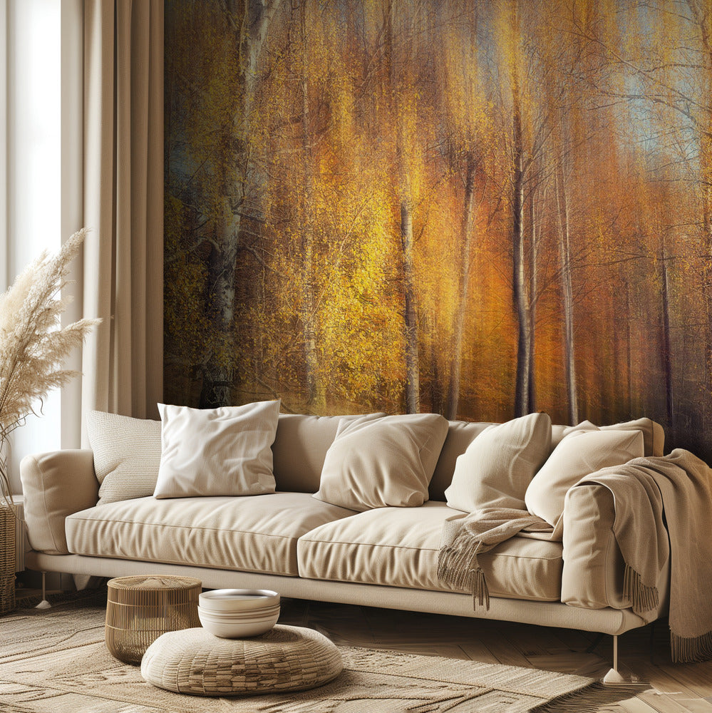 Autumn Birches | Wallpaper