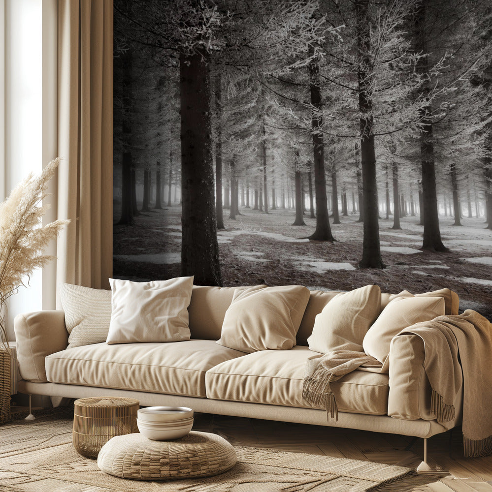 The onset of winter | Wallpaper
