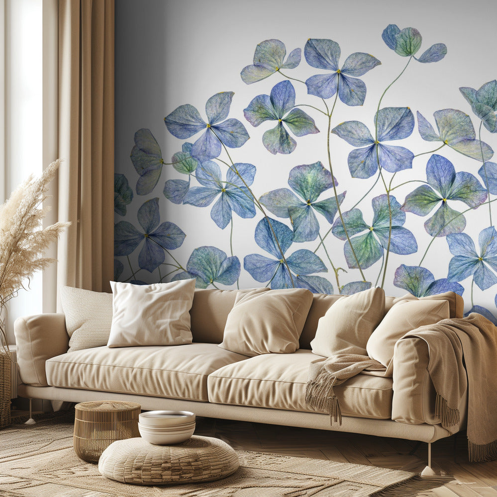 Hydrangea | Wallpaper
