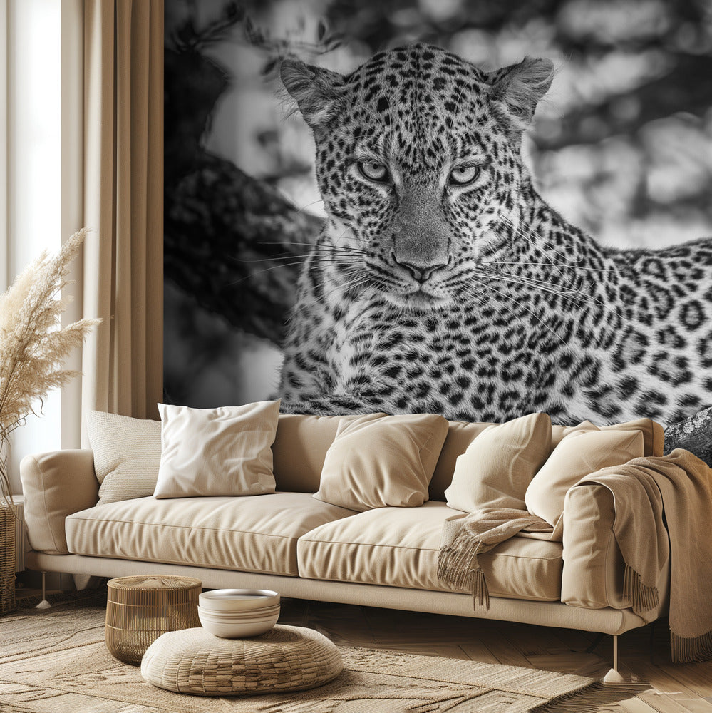 Monochrome beauty | Wallpaper
