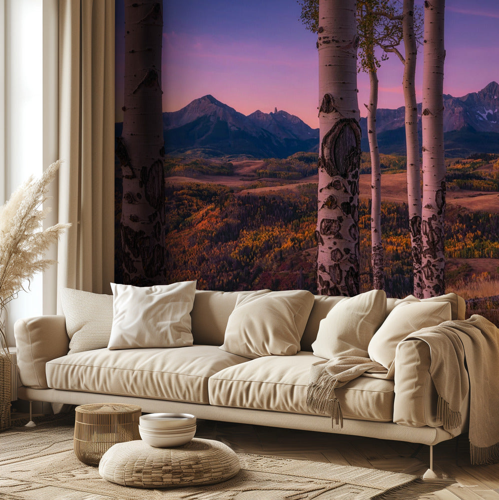Aspen Frames | Wallpaper