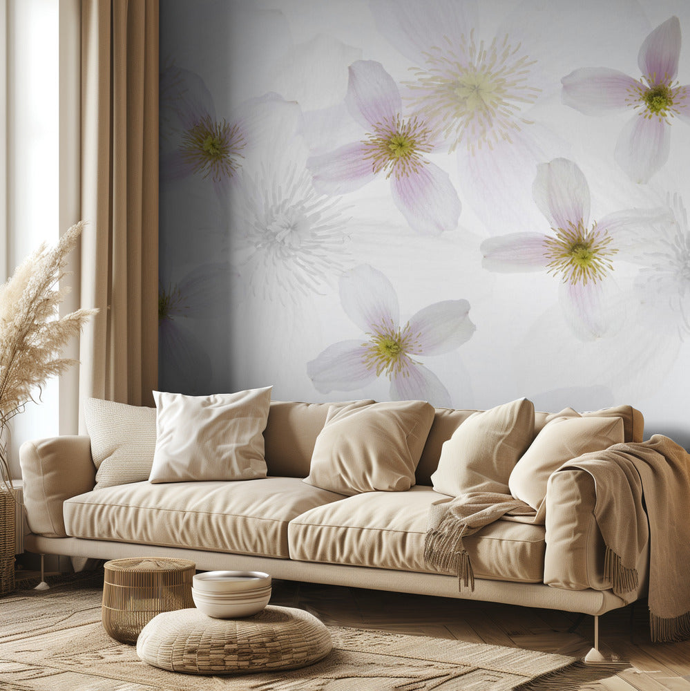 Clematis Art | Wallpaper