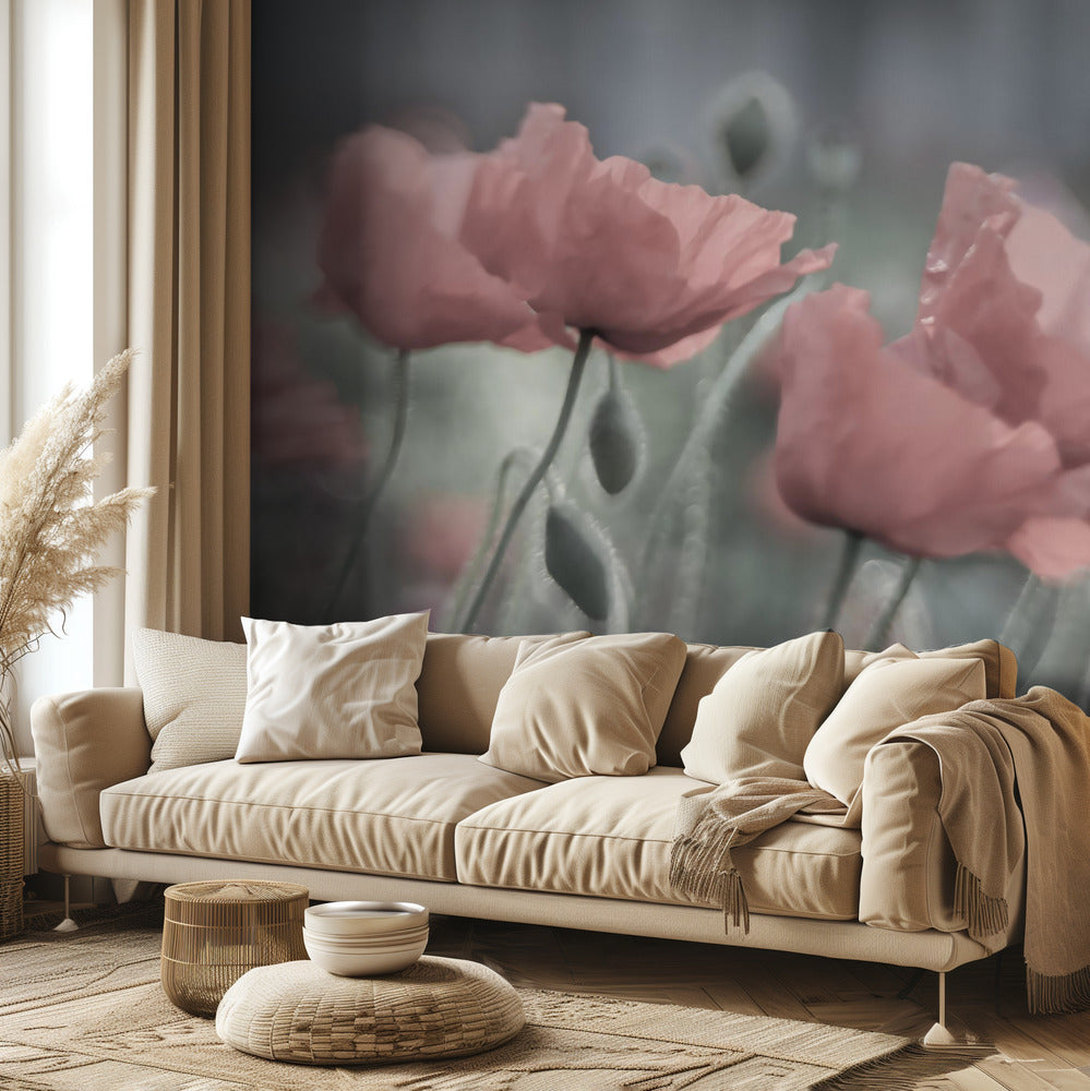 Softly | Wallpaper