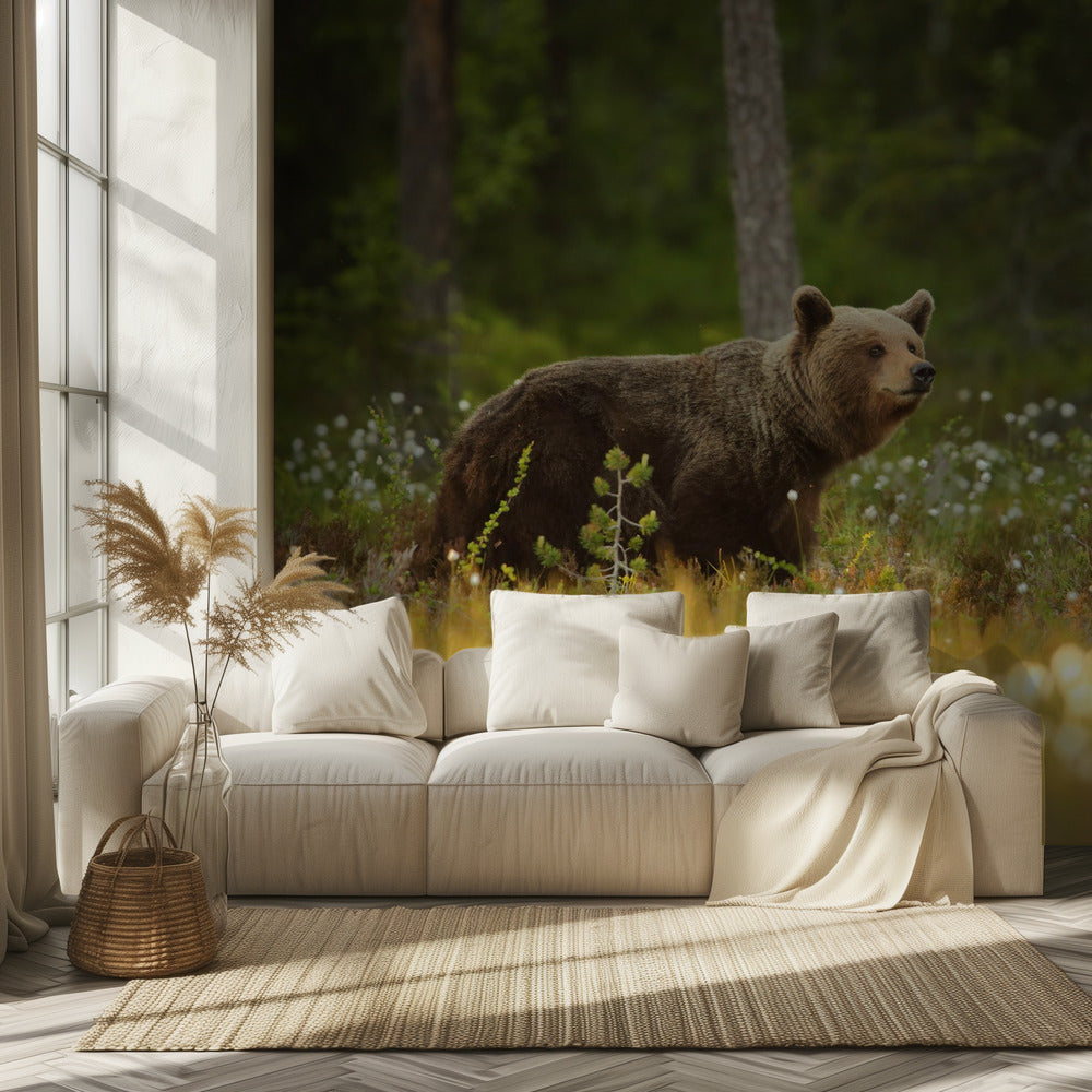 Braunbär | Fototapeten