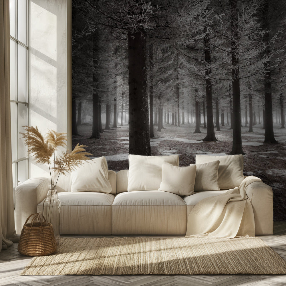 The onset of winter | Wallpaper