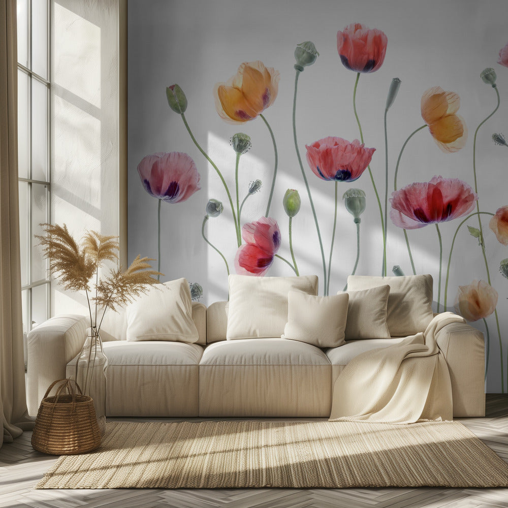 Papaver party | Wallpaper