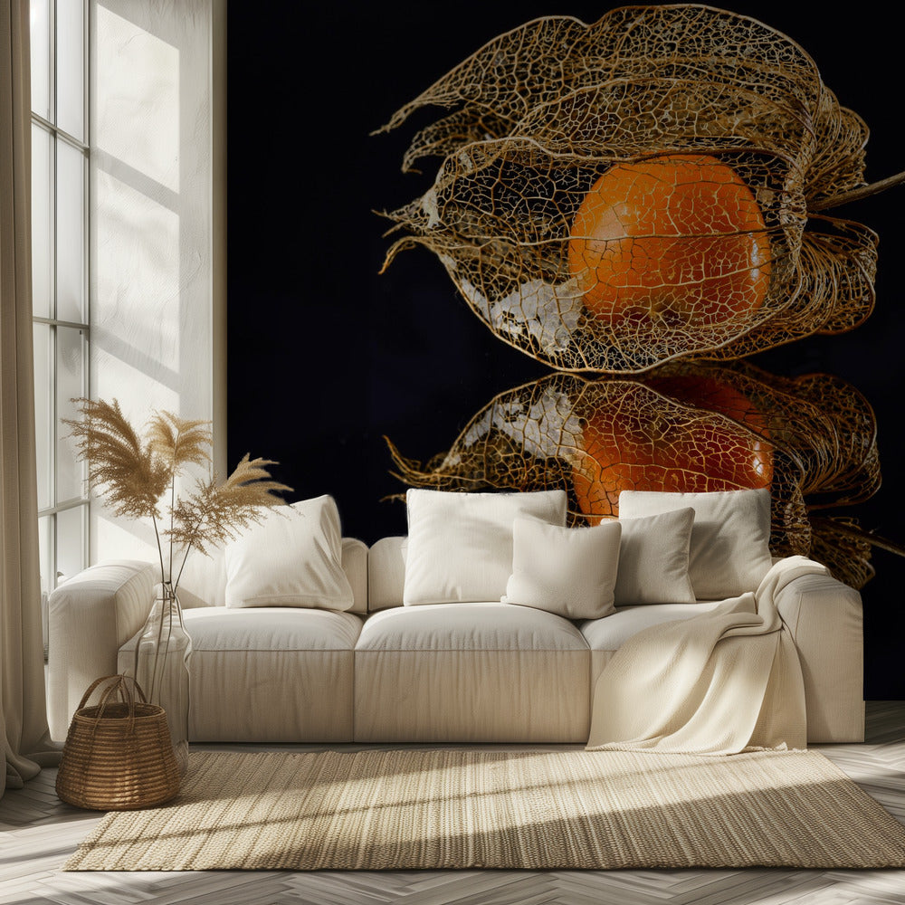 Physalis | Wallpaper