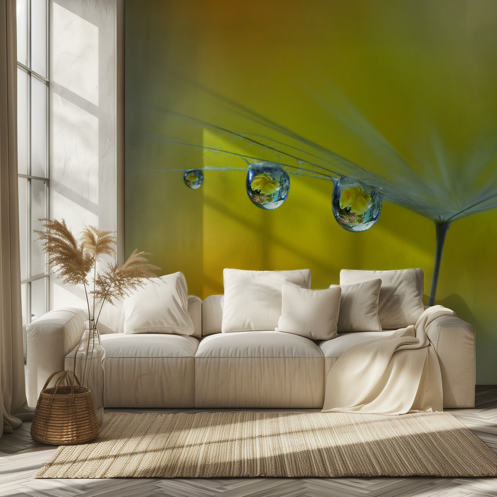 SunBeam...III | Wallpaper