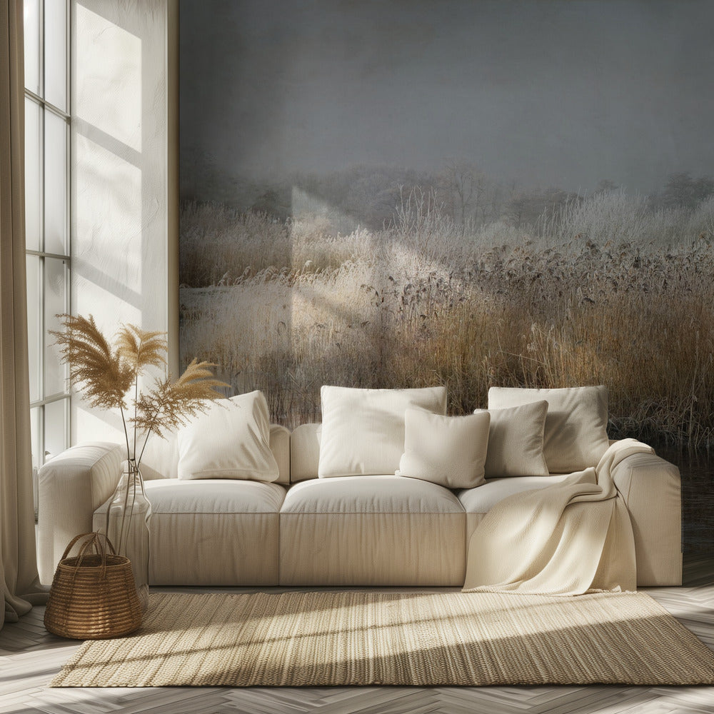 Wintermorning | Wallpaper