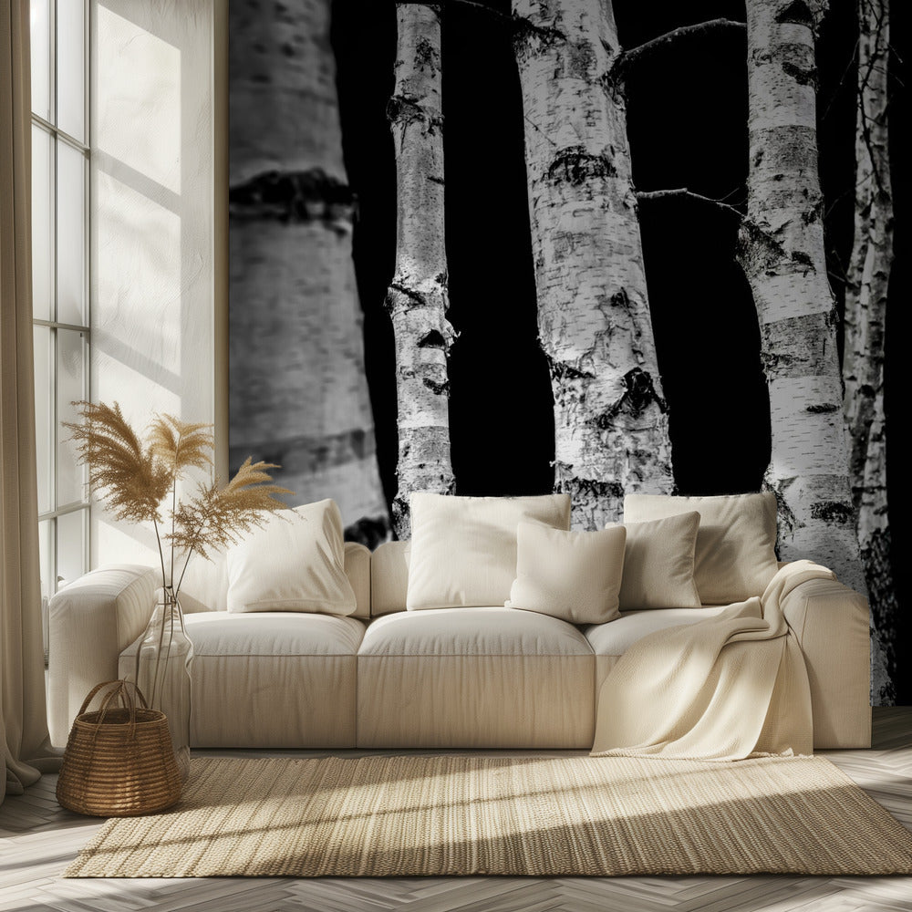 Birch Trees | Wallpaper